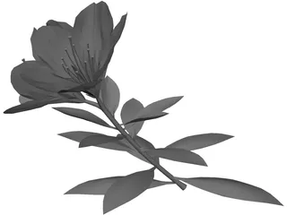 Tutuzi 3D Model preview