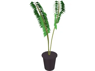 Potted Fern 3D Model preview