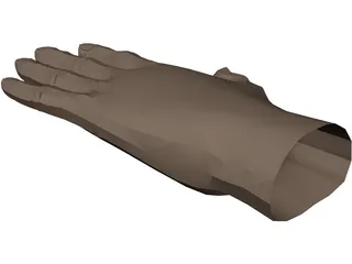 Hand 3D Model preview