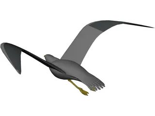 Seagull Flying 3D Model preview
