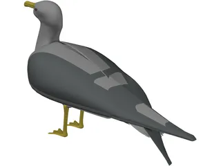 Seagull Standing 3D Model preview