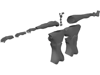 Modular Body Parts 3D Model preview