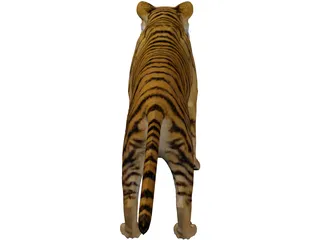 Bengal Tiger 3D Model preview