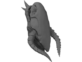 Dragon Head 3D Model preview