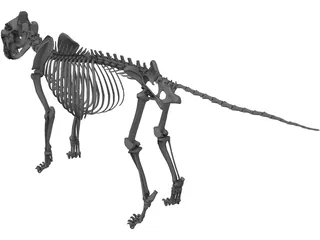 Lion Skeleton 3D Model preview