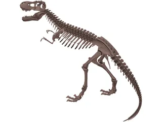 Dinosaur Skeleton 3D Model preview