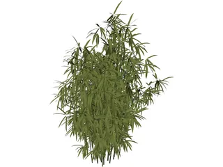 Bamboo Cluster Small 3D Model preview