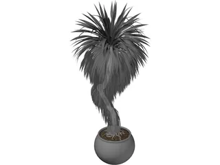 Bonsai Tree 3D Model preview