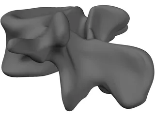 Vertebral Body 3D Model preview