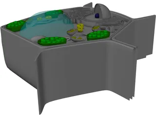 Plant Cell 3D Model preview