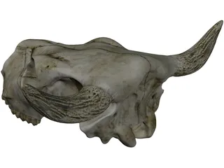 Cow Skull 3D Model preview