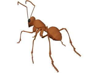 Ant 3D Model preview