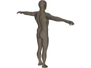 Man 3D Model preview