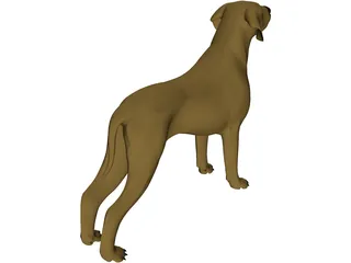 Dog Braco 3D Model preview