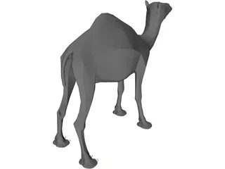 Dromedary 3D Model preview