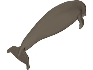 Dudongo 3D Model preview