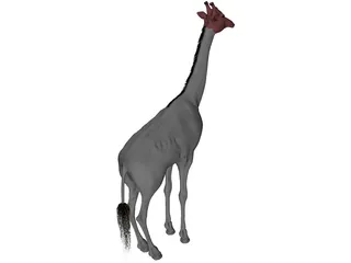 Giraffe 3D Model preview