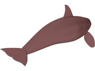 Whale Killer Female 3D Model preview