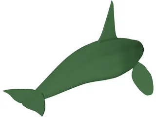 Whale Killer Male 3D Model preview