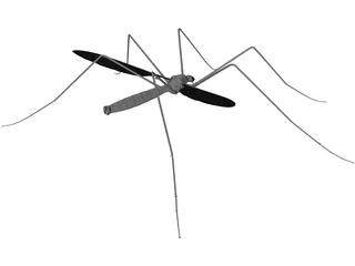 Mosquito 3D Model preview