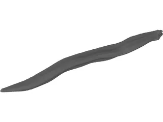 Muraena 3D Model preview