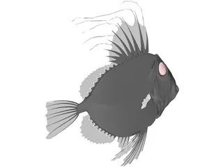 San Peters Fish 3D Model preview