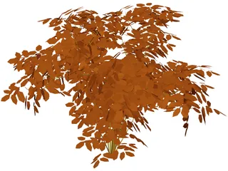 Cherry Tree 3D Model preview