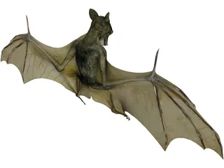 Bat 3D Model preview