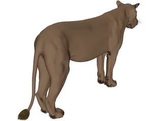 Lioness 3D Model preview