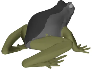 Frog 3D Model preview