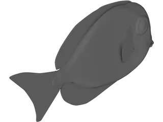 Amblyrhyncotes 3D Model preview