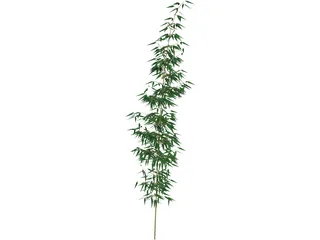 Bamboa 3D Model preview
