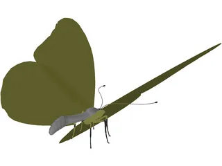 Butterfly 3D Model preview