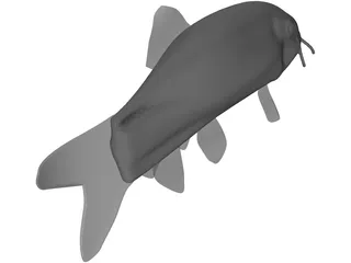 Clownfish 3D Model preview