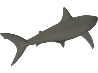 Shark White Male 3D Model preview