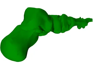 Foot Bone Female 3D Model preview