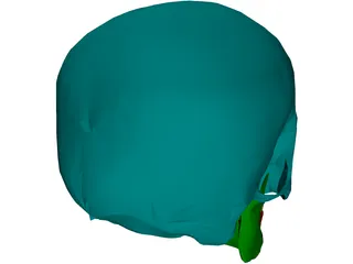 Skull Male 3D Model preview