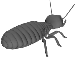 Termite 3D Model preview