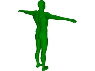 Swimmer 3D Model preview