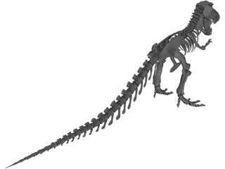 Tyrannosaurus Rex Skeleton 3D Model preview