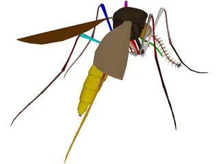 Mosquito 3D Model preview