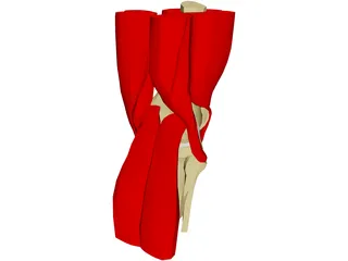 Knee 3D Model preview