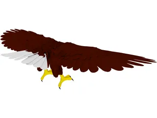 Eagle 3D Model preview