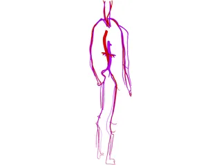 Circulatory System 3D Model preview