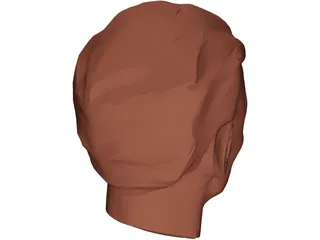 Face Muscles and Head 3D Model preview