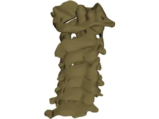 Vertebrae Cervical 3D Model preview