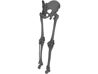 Knee 3D Model preview