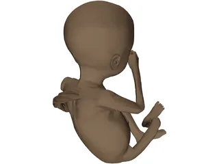 Fetus 3D Model preview