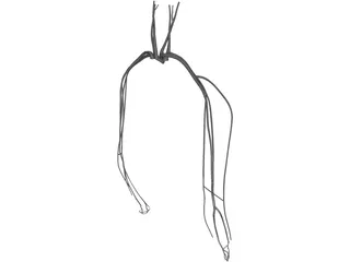 Veins and Arteries Upper 3D Model preview