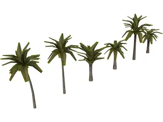 Palm Collection 3D Model preview